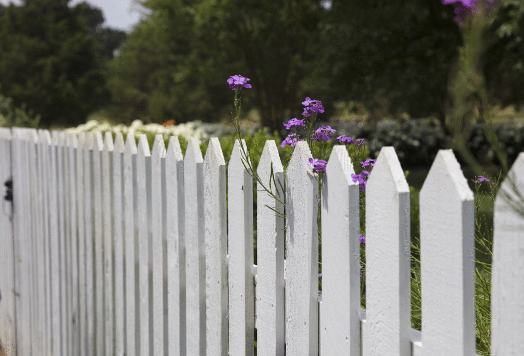 A wood fence