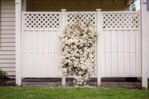 Flowers on a wooden fence