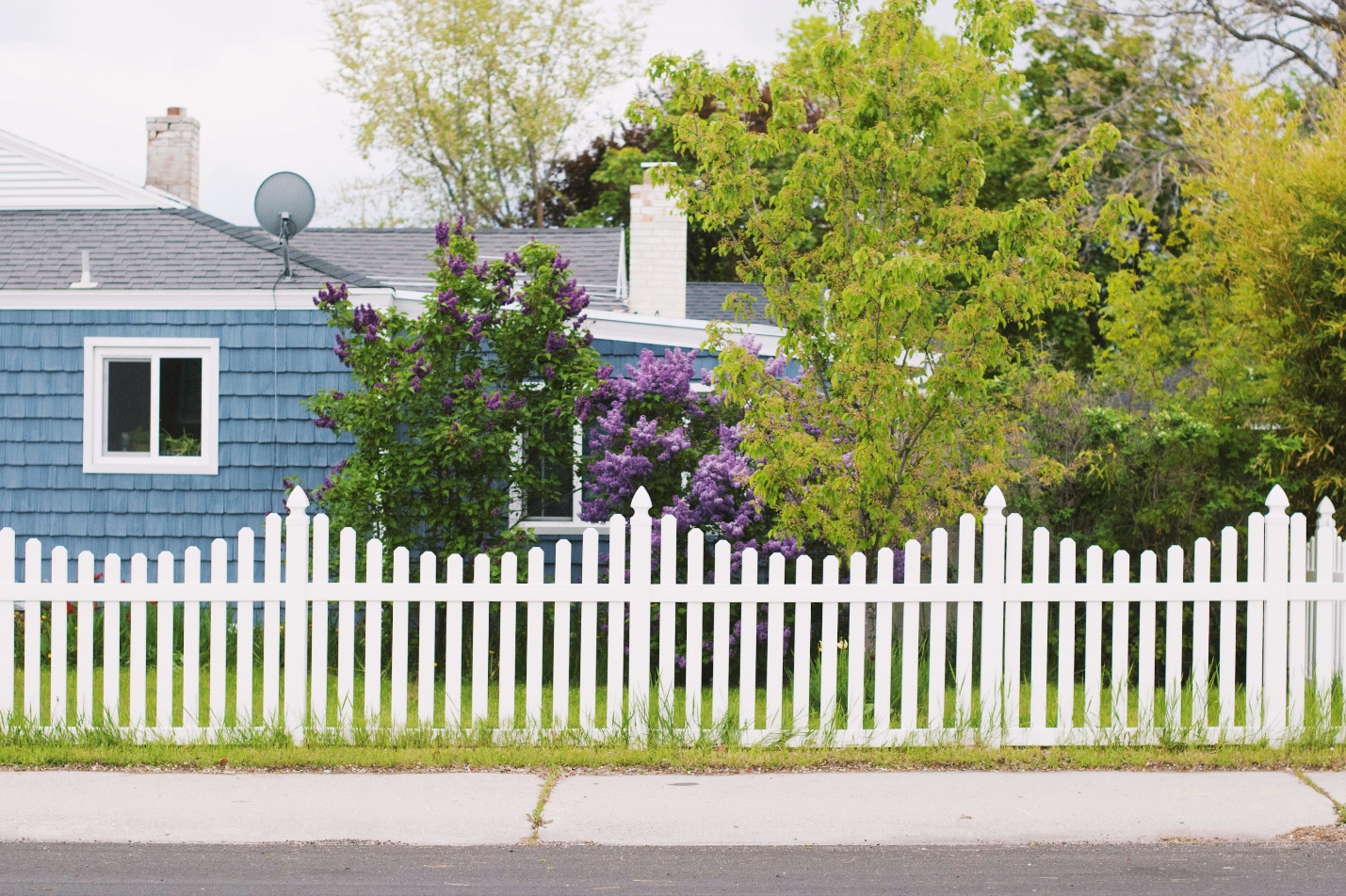 Wooden fence neatly enclosing a residential property offering privacy and curb appeal.