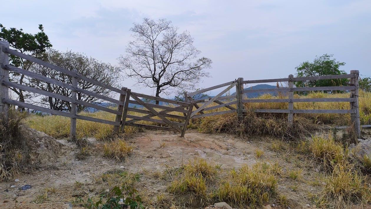 Rustic wooden fence in open countryside