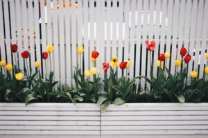 Flower pot installed with a white fence 