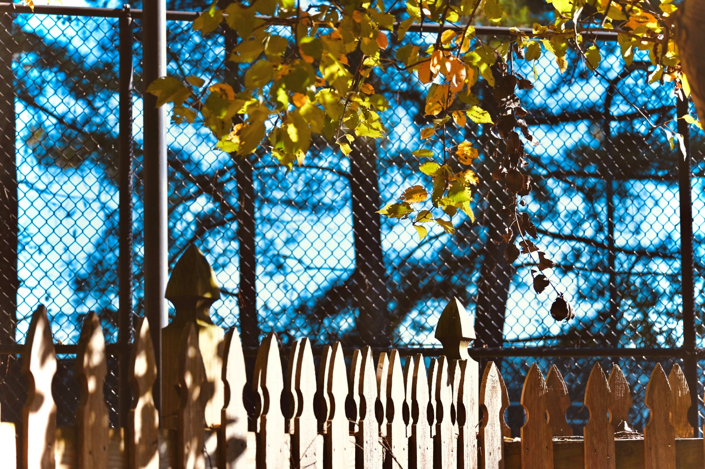 Close-up of a classic wooden fence installed by trusted local fence companies.