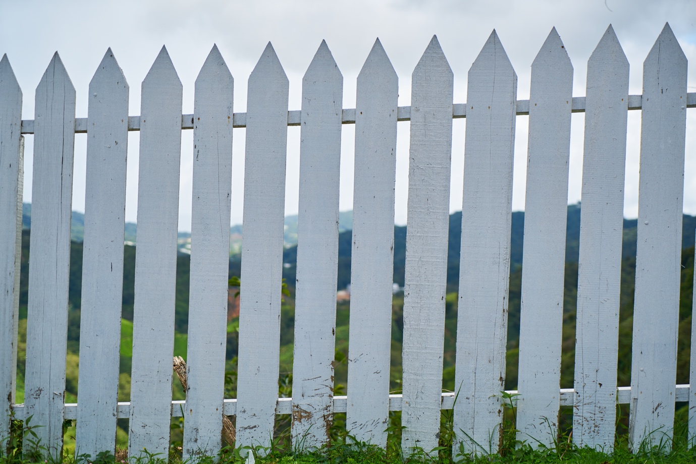 Trimmed landscaping around vinyl fence in a South Jersey backyard