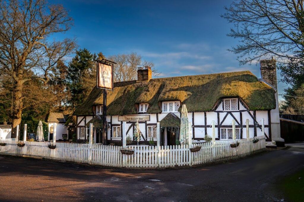 A charming old English inn with a thatched roof and white picket fence, surrounded by trees.