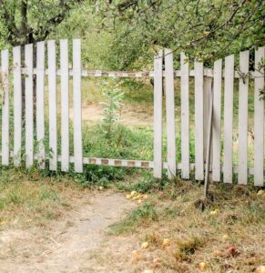 A rustic white picket fence with a missing gate section, surrounded by overgrown grass and fruit trees with scattered apples on the ground.