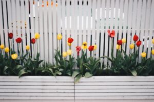 Flowers and a white fence
