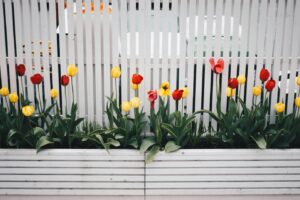flowers beside a white fence